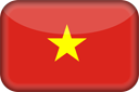 VN